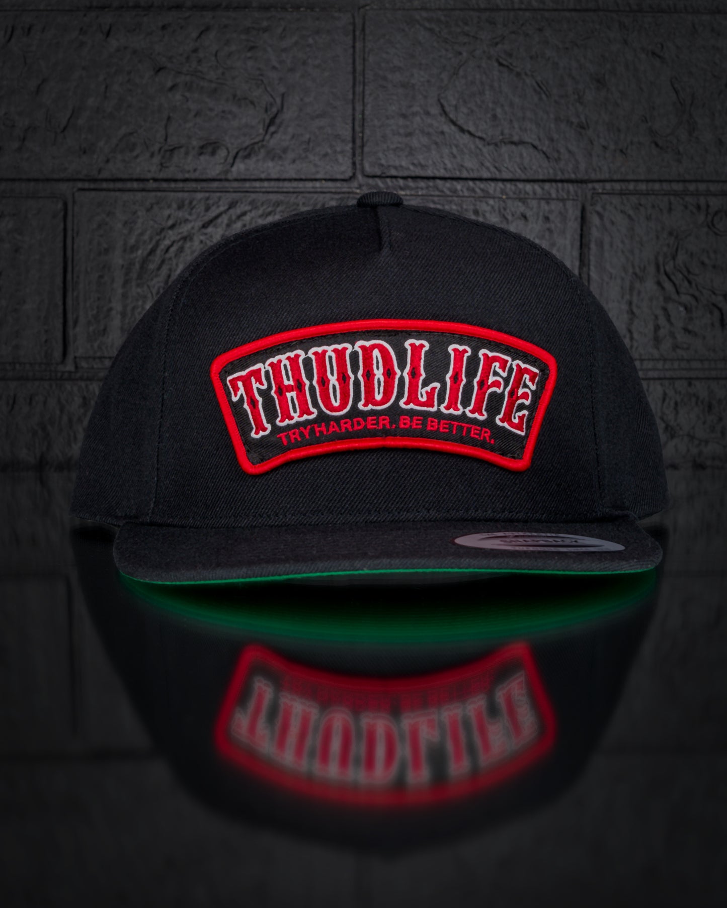 TRY HARDER - Snapback