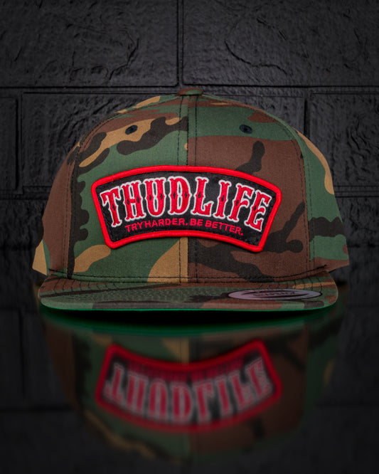 TRY HARDER - Snapback