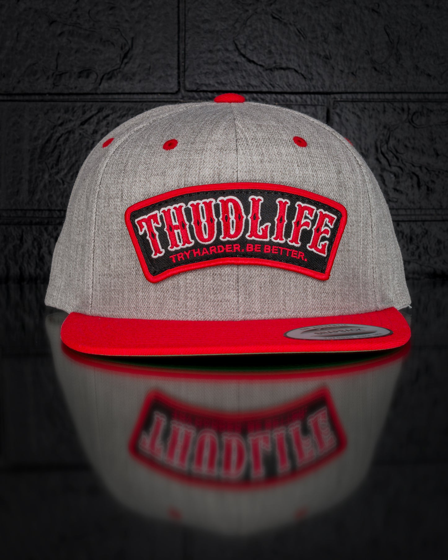 TRY HARDER - Snapback